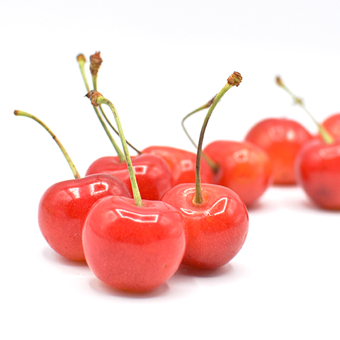 CHERRY［さくらんぼ］ | 取扱商品 | 鈴木食品製造株式会社